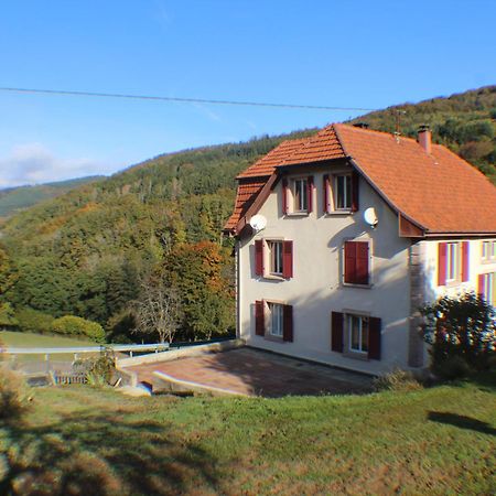 Neuviller Domaine De La Charriere Sur 63 Ares - 8 Pers Grand Confortヴィラ エクステリア 写真