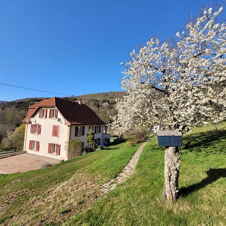 Neuviller Domaine De La Charriere Sur 63 Ares - 8 Pers Grand Confortヴィラ エクステリア 写真