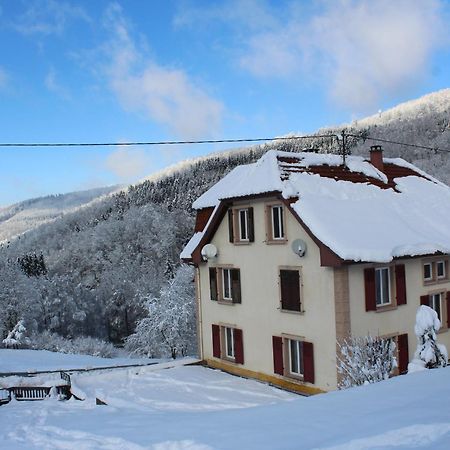 Neuviller Domaine De La Charriere Sur 63 Ares - 8 Pers Grand Confortヴィラ エクステリア 写真