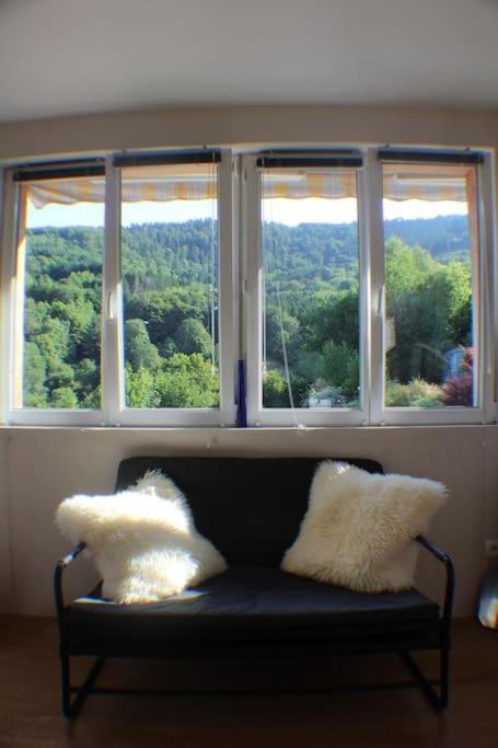 Neuviller Domaine De La Charriere Sur 63 Ares - 8 Pers Grand Confortヴィラ エクステリア 写真