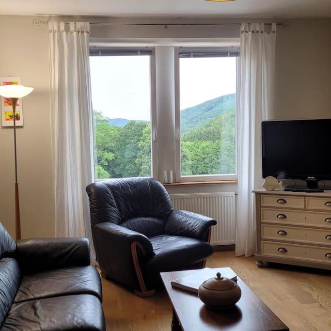 Neuviller Domaine De La Charriere Sur 63 Ares - 8 Pers Grand Confortヴィラ エクステリア 写真