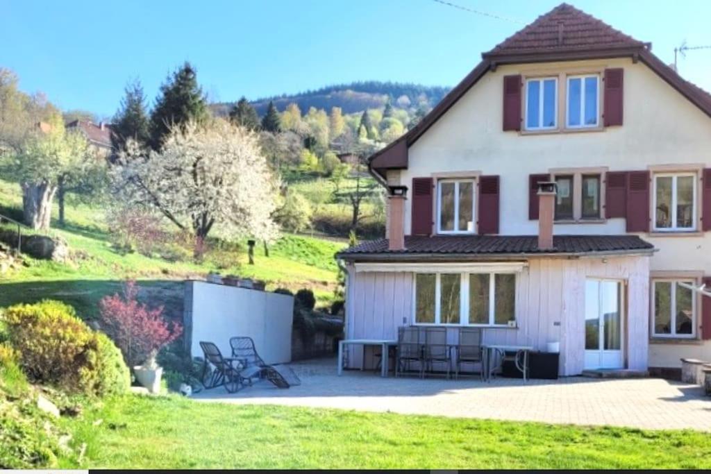 Neuviller Domaine De La Charriere Sur 63 Ares - 8 Pers Grand Confortヴィラ エクステリア 写真