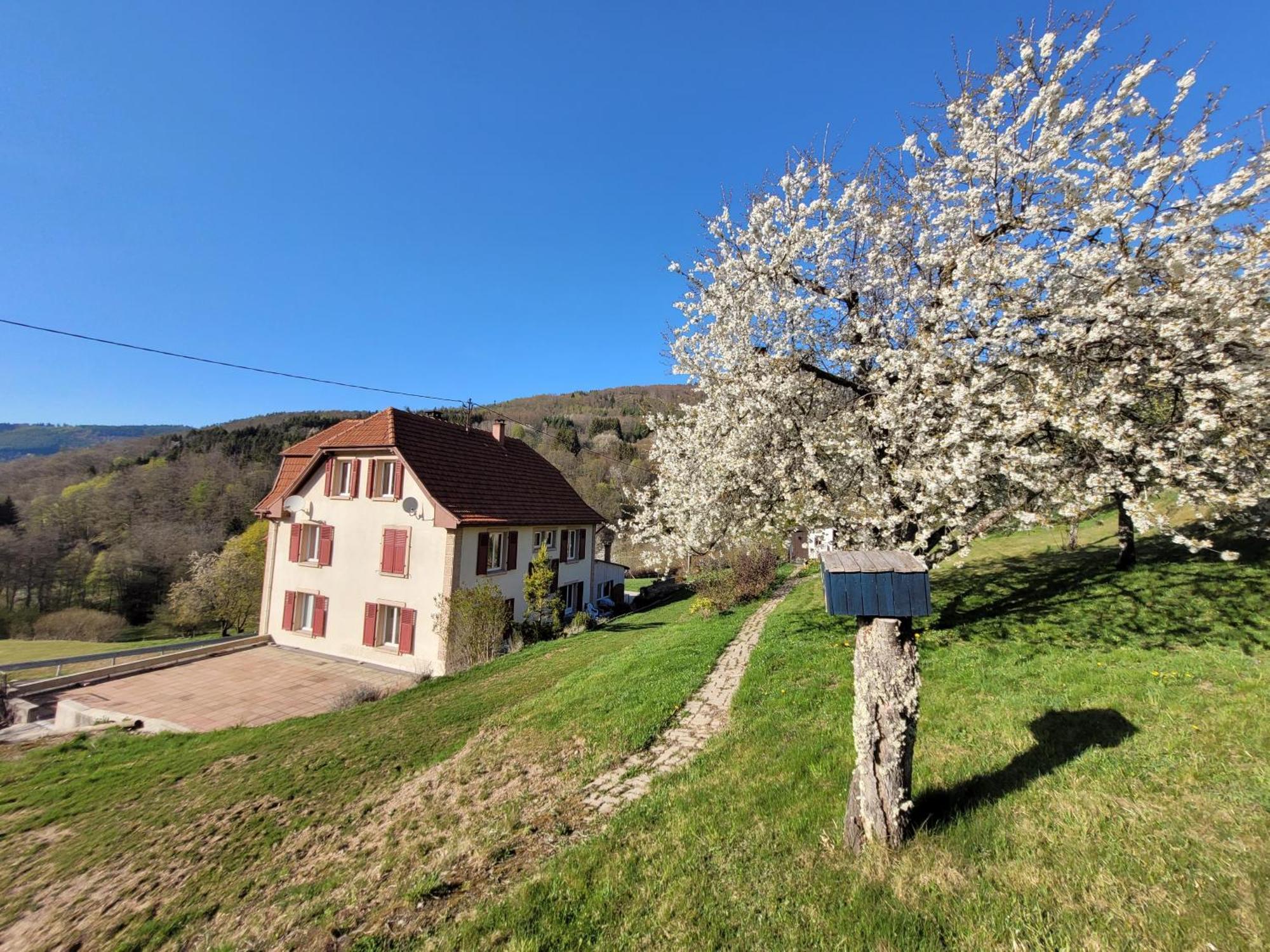 Neuviller Domaine De La Charriere Sur 63 Ares - 8 Pers Grand Confortヴィラ エクステリア 写真