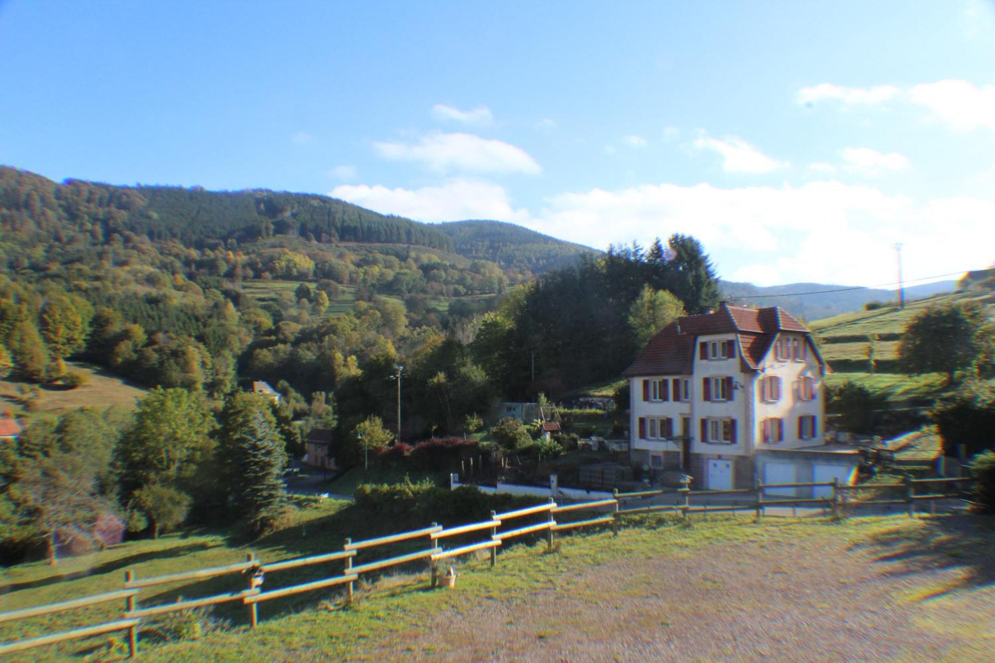 Neuviller Domaine De La Charriere Sur 63 Ares - 8 Pers Grand Confortヴィラ エクステリア 写真