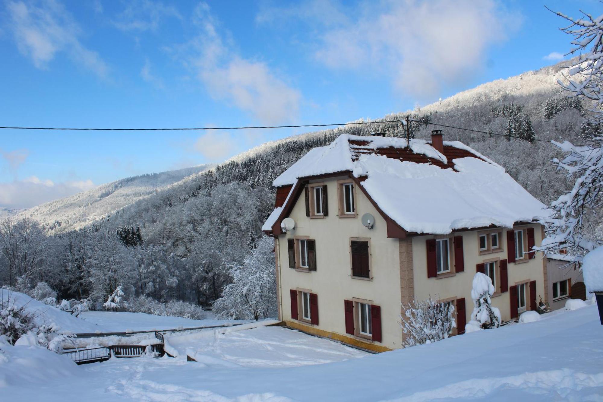 Neuviller Domaine De La Charriere Sur 63 Ares - 8 Pers Grand Confortヴィラ エクステリア 写真